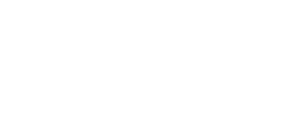 Normous Newark Autojumble Logo